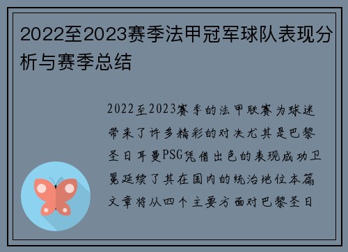 2022至2023赛季法甲冠军球队表现分析与赛季总结
