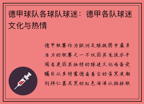 德甲球队各球队球迷：德甲各队球迷文化与热情