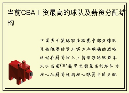 当前CBA工资最高的球队及薪资分配结构