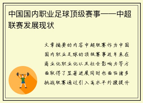 中国国内职业足球顶级赛事——中超联赛发展现状