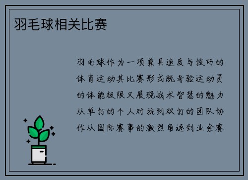 羽毛球相关比赛